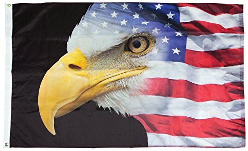 FlagSource US Flag with Eagle Nylon Decorative Flag, Made in The USA, 3x5