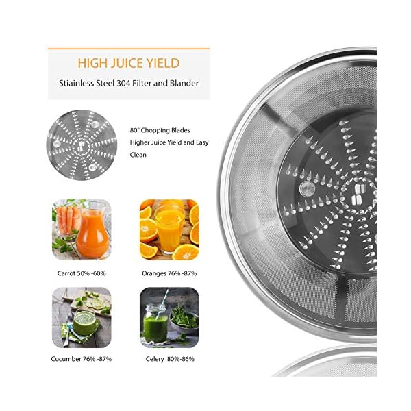 Juicer, Bagotte Juicers Whole Fruit and Vegetable Easy Clean, 600w, Stainless Steel Juicer Machine with Wide Mouth, Dual…