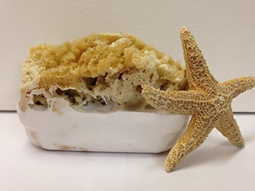 Goat's Milk Soap and Olive Oil Soap Bar with Attached Natural Organic Sea Sponge. *Hand Crafted in Florida* *All Natural Moisturizing Soap* Great Gift! Perfect Shower Sponge! All Natural Bath Sponge and Natural Bath Bar. *The Best Sea Sponge Soap Combination* Several Amazing Scents. (Unscented)