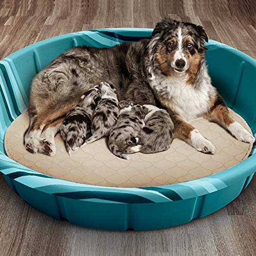 Zampa Pets Quality Whelp Round, Circular Shape Reusable Dog Pee Pads