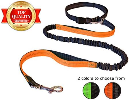 Hands Free Around The Waist Belt (26 and up to 50 inch) 6FT Long Dog Leash, For Jogging, Running, Hiking, Walking, Bike Riding. Any Large, Small or Medium Dogs Breeds Up to 175 Lbs (Orange)