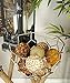 Benzara Natural Ball Bamboo Wood Balls, Set of 8