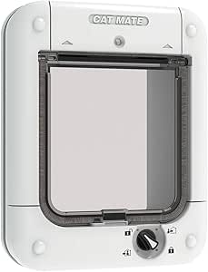 siamese ragdoll mix kittens for sale