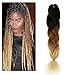 Emmet Jumbo Braids 60+ Colors Kanekalon Synthetic Box Braids African Hair Extension 100g/pcs, Hair Care Ebook Included (24