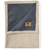 West Paw Design Big Sky Faux Suede/Silky Soft Pet Throw Blanket, Storm Blue, Medium