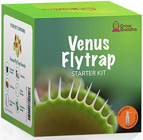 Grow Your own Venus Flytrap Kit, Easily Grow Carnivorous Venus Flytrap Plants with our Beginner friendly Venus Flytrap Kit