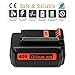Replace LBXR2036 Lithium Ion Battery 2-Pack