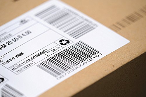 1 Roll 4 x 6 Inches Zebra Thermal Direct Paper, 250 Shipping Labels for Zebra Printers 2844, ZP450, ZP500, Eltron, and More