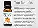 BioFinest Orange Oil - 100% Pure Orange Essential Oil - Premium Organic - Therapeutic Grade - Best For Aromatherapy - Boost Immune System - Mood Lifting - FREE E-Book (10ml)