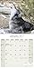 Wolf Calendar - Wolves Calendar - Calendars 2016 - 2017 Wall Calendars - Animal Calendar - Wolves 16 Month Wall Calendar by Avonside