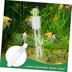 UKCOCO Leech Flatworm Aquatic Planarian Tube Shrimp