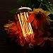 Vintage Edison Bulb KINGSO Dimmable 40W Edison Light Bulb Squirrel Cage Filament Incandescent Antique Light Bulb E27 E26 Base ST64 110V - 4 Pack