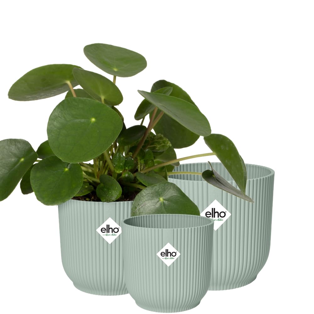 elho Vibes Fold Round - Flower Pots from 100% Recycled Plastic - Indoor Plant Pots - Set of 3 - Ø 14, 16, 18 cm - Green/Sorbet Green