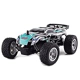 KingPow RC Car 1/24 Scale 2WD Remote Control Cars With 2.4 Radio Controlled Electric Rc Truck Off-road for Kids