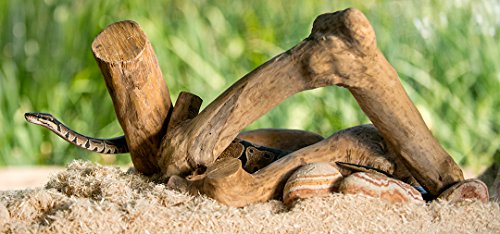 1 Galapagos+05064+Shavings+Bedding+8+Quart