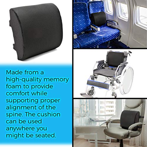 Plixio Memory Foam Lumbar Back Cushion Support Pillow - Lower Back Pain Relief and Balanced Firmness for Computer Office Chair, Car Seat, Recliner - with Adjustable Straps
