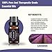 Essential Oils Gift Set Top 6 - 100% Pure & Therapeutic Grade 10ml