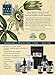 Wise Woman Herbals All-Purpose Salve, Herbal Balm with Calendula & Comfrey, Soothes Dry, Irritated Skin, Postpartum Skin Care, Nourishing Skin Support for All Ages, Non-GMO, 1 oz Jar
