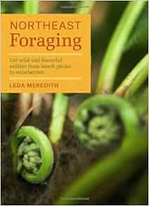 Northeast Foraging 120 Wild And Flavorful Edibles From