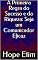 Livro A Primeira Regra do Sucesso e da Riqueza: Seja um Comunicador Eficaz