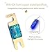 LEIGESAUDIO Copper 4 8 10 Gauge Wire Inline Mini ANL Amplifier Fuse Holder with 60 Amp Fuse
