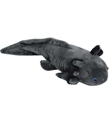 Amazon.com: Adore 21