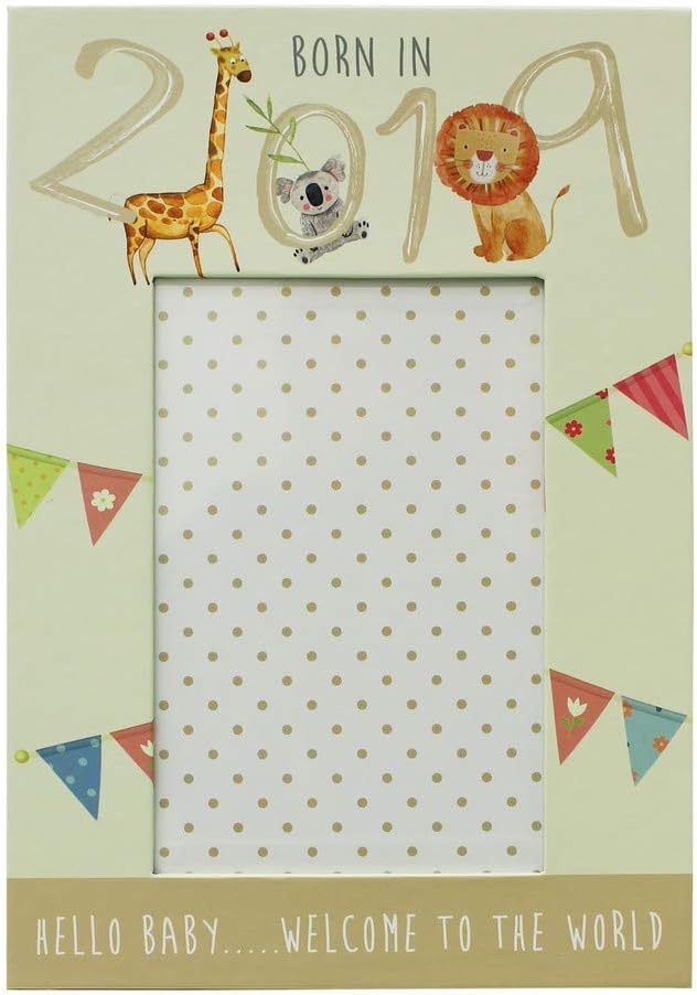 born in 2019 keepsake box