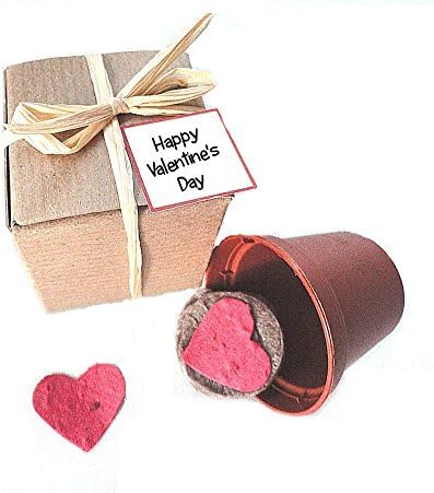 Plantable Seed Paper Heart Garden Kit Valentine's Day Party Favors (Set of 12)