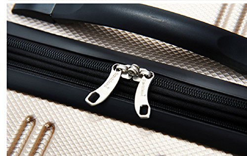 Rockland Melbourne Hardside Expandable Spinner Wheel Luggage, Champagne, 2 Piece (20/28)