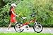 Royalbaby Honey Boys Girls Kids Bike Bicycles with Training Wheels Kickstand Child Bicycle 16 Inch Red