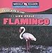 The Life Cycle of a Flamingo (Things With Wings)