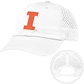 Desert Cactus Illinois Snapback Hat – BreezePro Performance Cap with Adjustable Strap Designed for Fighting Illini Fans (BP3)