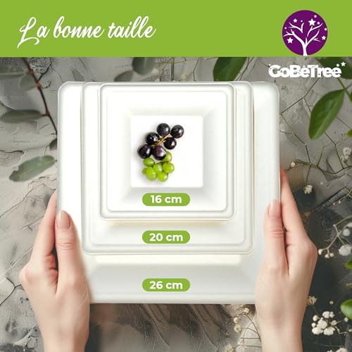GoBeTree 100 x 26cm White Sugarcane Square Disposable Paper Plates Extra Durable Disposable Paper Plates for Camping, Picnics, Parties, BBQs, Birthdays