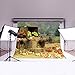 LB 7x5ft Vinyl Rustic Fall Thanksgiving Backdrop for Photography Vintage Farm with Pumpkin Background Autumn Harvest Backdrop for Photoshoot, Event Portrait Photo Booth Props