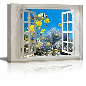 Glimpse into Deep Sea View and Tropical Fish...