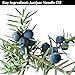Cellulite Dissolving, Fluid Reducing Aromatherapy Dead Sea Bath Salts - 