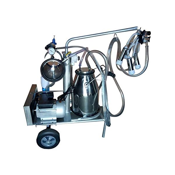 ZHHB Mungitore Elettrico 25L, Mungitrice da 10-12 Mucche All'ora con Kit Set Barilotto Serbatoio Serbatoio Secchio… ZHHB ZHHB Mungitore Elettrico 25L, Mungitrice da 10-12 Mucche All'ora con Kit Set Barilotto Serbatoio Serbatoio Secchio…