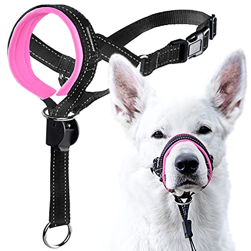GoodBoy Dog Head Halter with Safety Strap - Stops