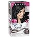 Clairol Nice 'n Easy Foam Hair Color 2 Black (Pack of 3)