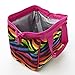 Fit & Fresh Riley Insulated Lunch Bag with Zipper, Rainbow Zebra