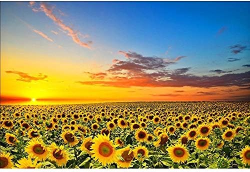 1000/5000 Pieces Jigsaws Puzzles for Adults Children,Starry Sky Landscape Oil Painting, Wooden Classic Puzzles, Relaxing Gift (Color : B, Size : 5000pcs)