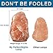 Himalayan Rock Salt Lamp Night Light Natural Hand Carved Pure Authentic Pink Salt Crystals from Pakistan use in Bedroom Family Room Hallway Office by My Perfect Nights (2 Pack)