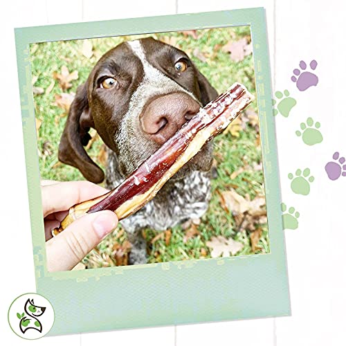 Nature Gnaws Bully Sticks for Large Dogs Premium Natural Beef Dental