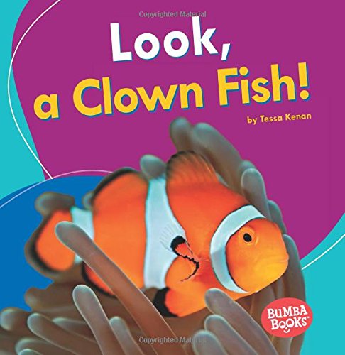 Look, a Clown Fish! (Bumba Books I See Ocean Animals)