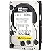 WD RE4 2 TB Enterprise Hard Drive: 3.5 Inch, 7200 RPM, SATA II, 64 MB Cache (WD2003FYYS) (Old Model)
