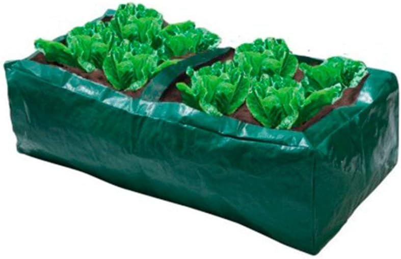 Bolsa / Maceta de plástico para cultivo de lechugas / ensaladas ...