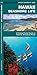 Hawaii Seashore Life: An Introduction to Familiar Species (A Pocket Naturalist Guide)