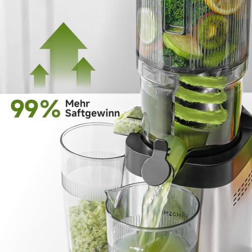 Entsafter - Slow Juicer mit 135 mm großem Einfüllschacht für ganzes Obst und Gemüse - Leicht zu Reinigen mit 2 Gläsern - Silber