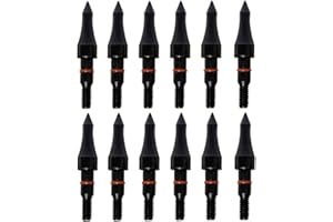 GENERIC Field Points arrowheads 100/125/150/200/300 Grains Archery Field Points, Steel Screw in Archery Field Tips and Broadheads (1 Dozen 12 PCS)