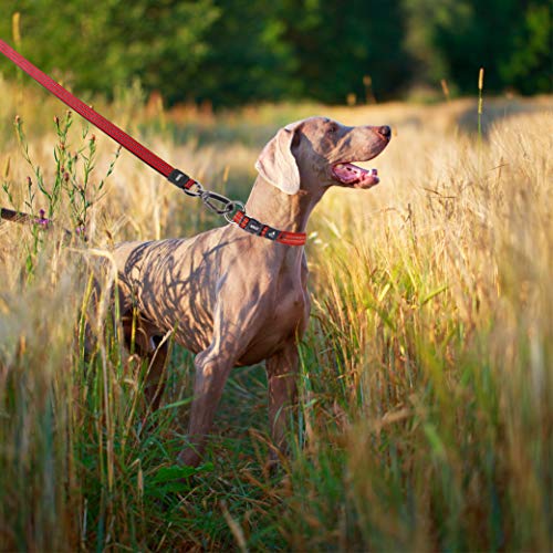 KRUZ PET KZV5048-05L 4' Reflective Heavy Duty Click & Lock Hook Leash, Large